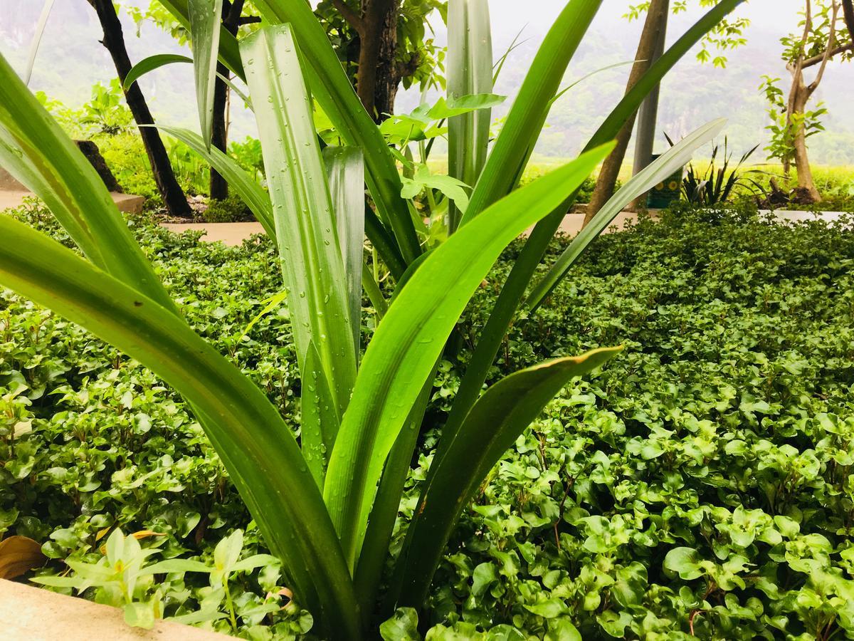 Trang An Nature House Ninh Bình Kültér fotó